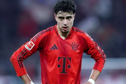 يستهدف المشاركة مع بايرن ميونخ بكأس العالم للأندية.. تقارير تكشف تطورات إصابة بافلوفيتش